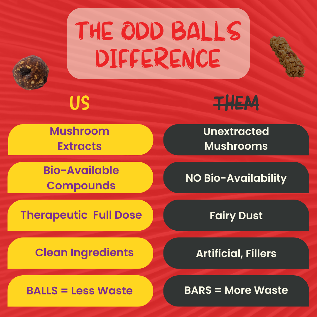 Organic Mushroom Energy Balls - Cherry image 3