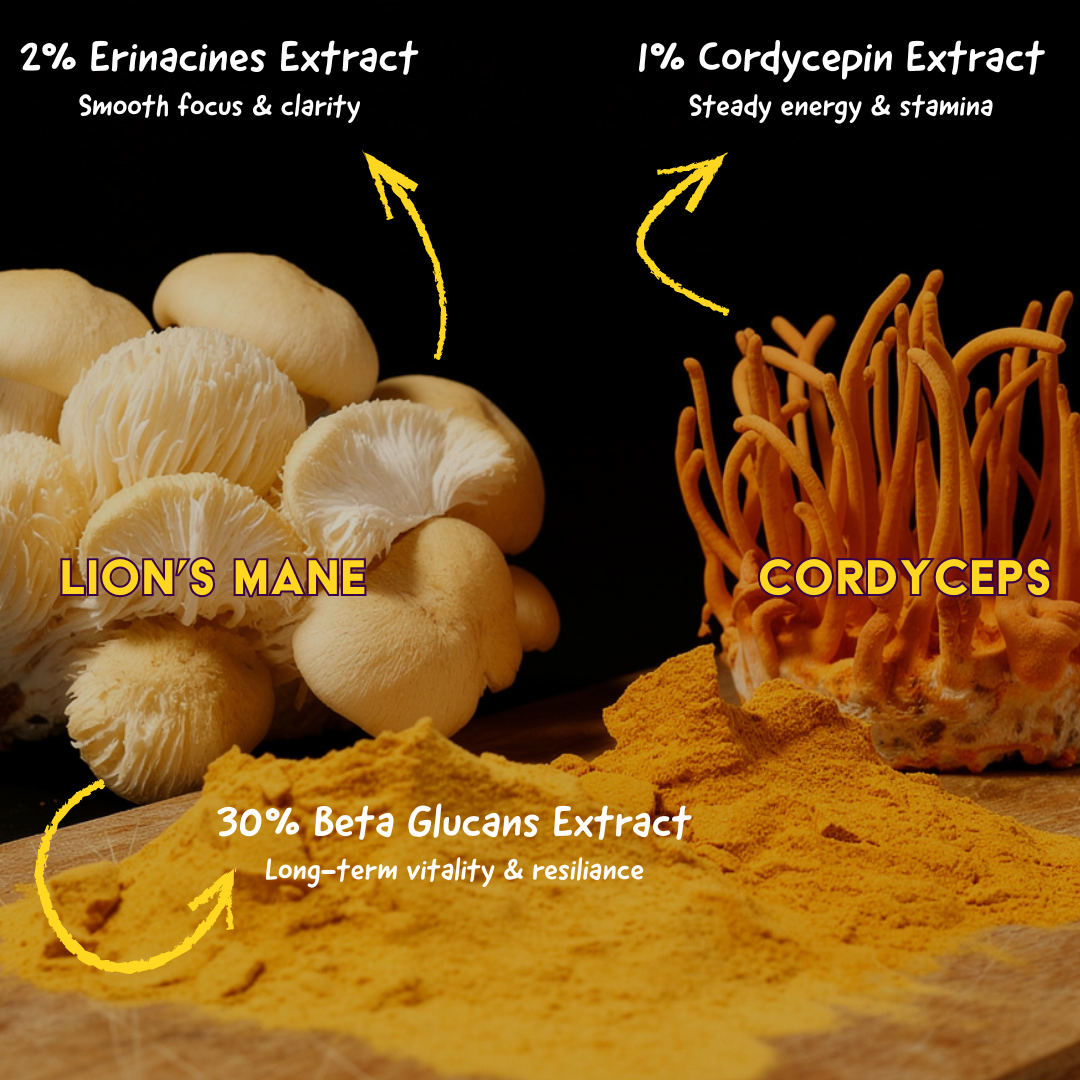 Organic Energy Balls